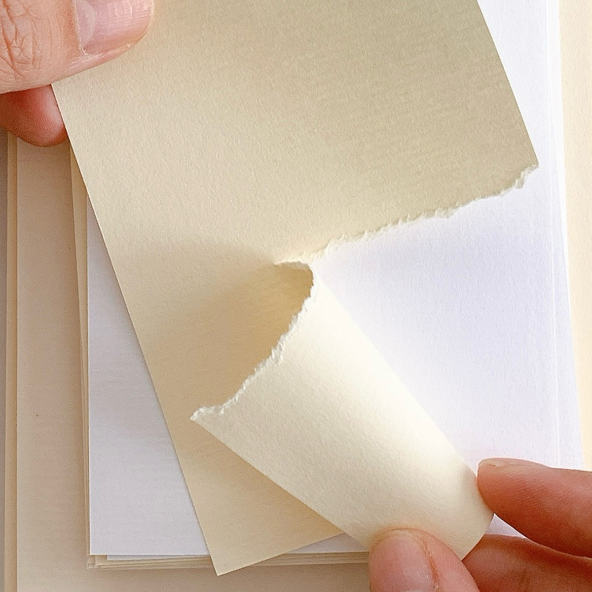 Loose leaf blank paper insert detail for planner layouts and journal spreads