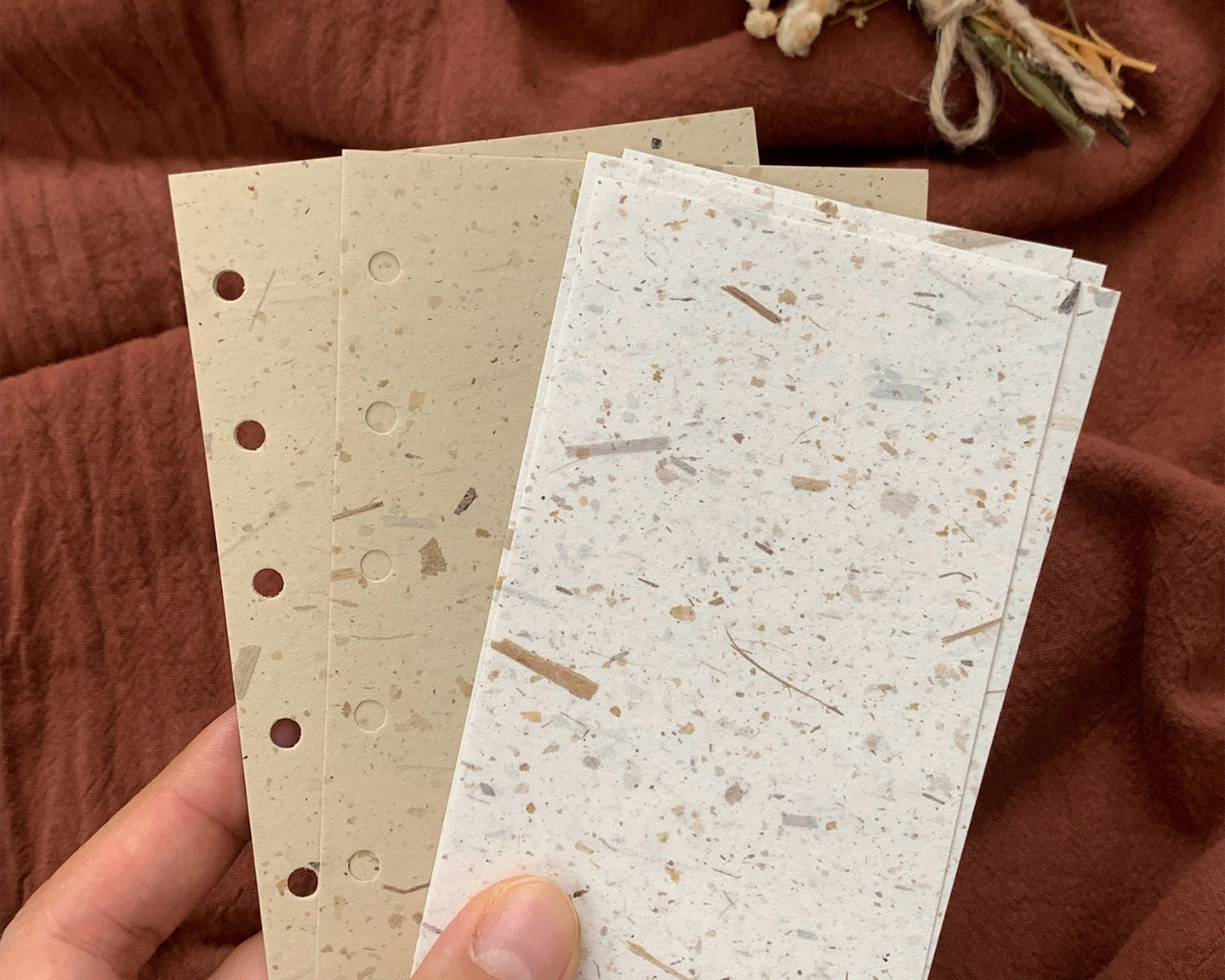 Specialty paper pages for planner inserts scrapbook layouts and writing notes
