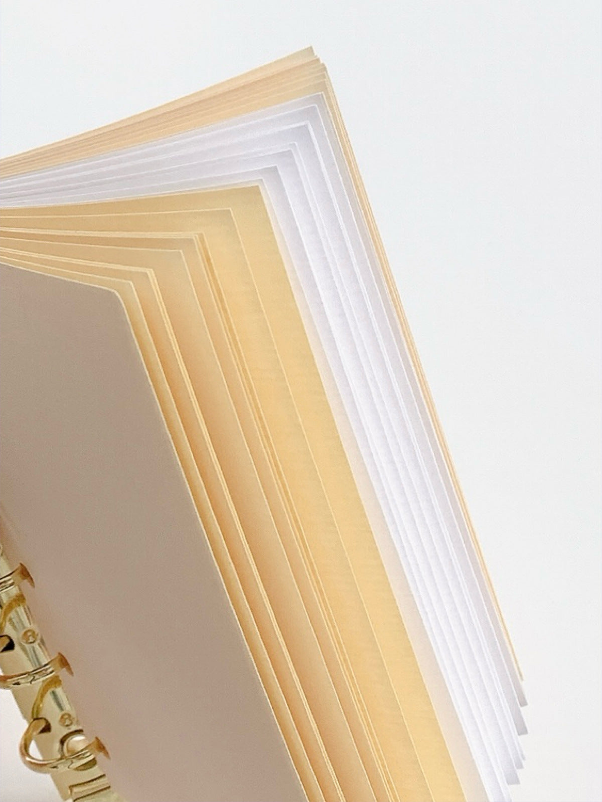 Binder insert blank paper sheets for compact planners and creative notes