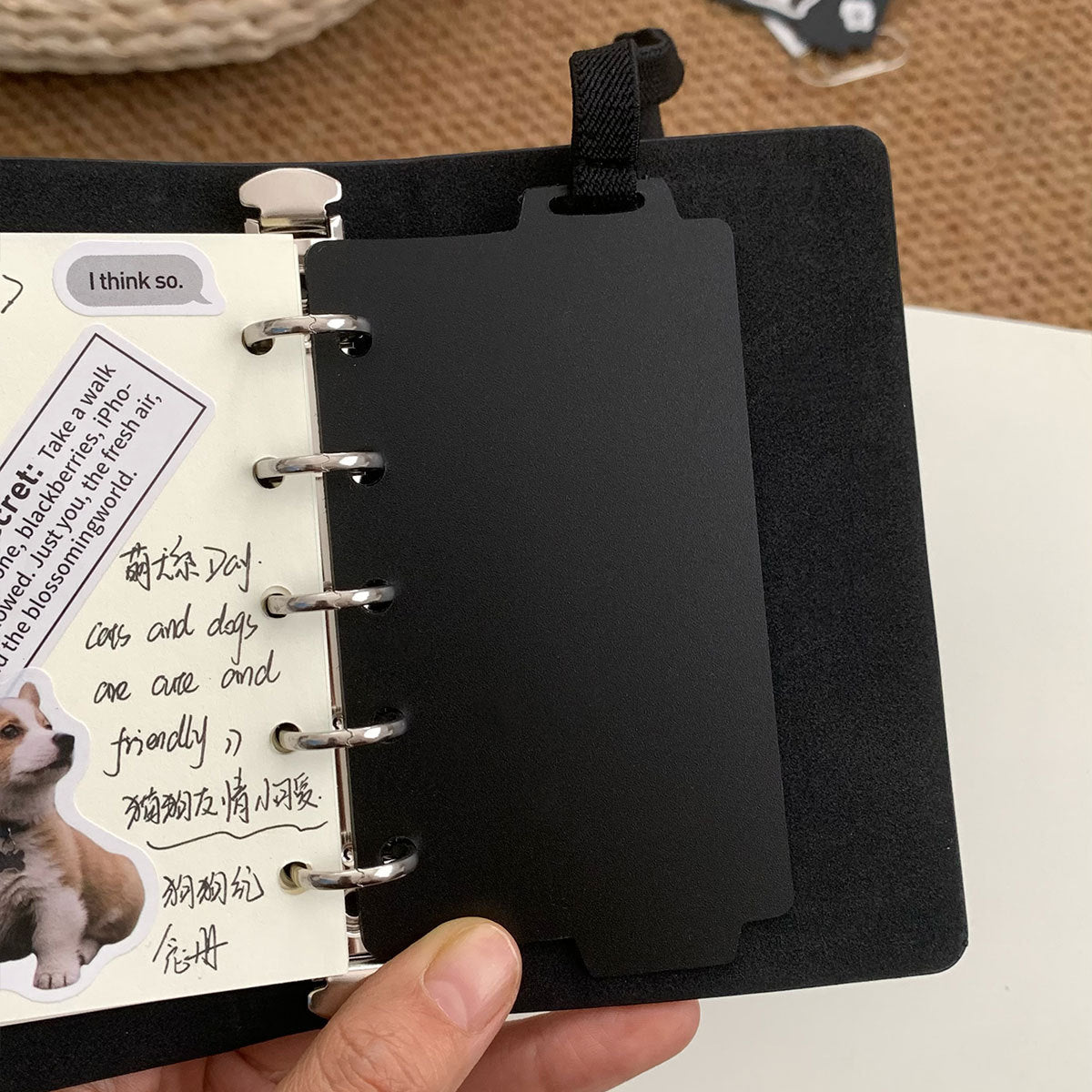 M5 strap divider insert detail for holding notes cards and planner accessories